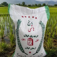 برنج صدری حسن سرایی کالابرگ