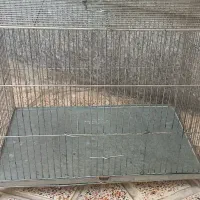 قفس غلامی