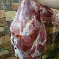 پخش گوشت گوساله به قیمت عمده