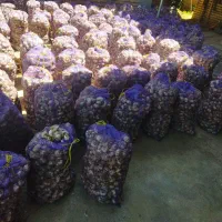 پارس اباد ایران اباد