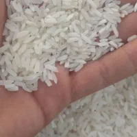 برنج طارم درجه یک