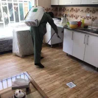 سمپاشی کلیه حشرات سوسک سم پاشی ساس کنه تضمین ۱۰۰٪