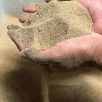 کود مقوی برای گیاهان آپارتمانی