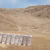فروش ۱۵ انبار کاه گندم و۵۰ گونی جو محلی هفت چشمه