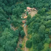 اجاره سوئیت ویلا خانه ویلایی کلبه چوبی جنگلی