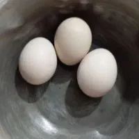 تخم لاری اصل افغان