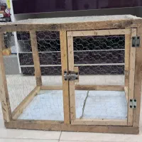 لونه ی کبوتر جفتی قفس کبوتر . کفتر چوبی