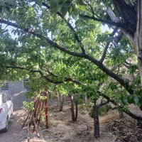 خانه ویلایی ساردوییه(درب بهشت)