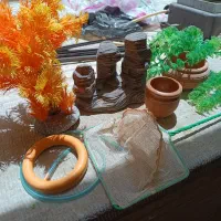 تزئینات آکواریوم