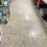 استخدام دوزنده، راستاکار، اتوکار، برشکار
