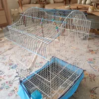 قفس  پرنده
