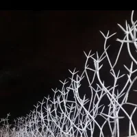 دزدگیر شاخ گوزنی به متراژ 11متر با قیمت مناسب