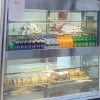 یخچال فست فودی