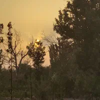 فروش سیم کارت