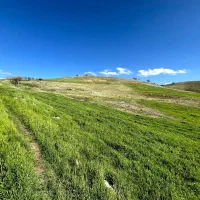 بیلوار پیرکاشان زمین با چشمه