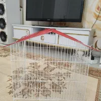 قفس ازسایز بزرگ به کوچک در حد نو