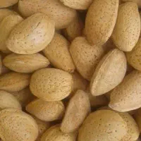 بادام درشت