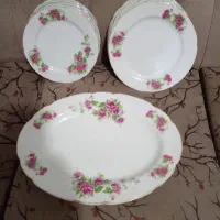 ظروف گل سرخی