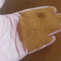 تخم شربتی