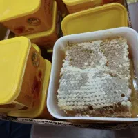 عسل با کیفیت