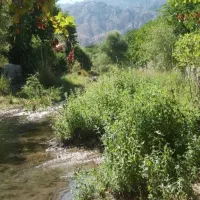 اجاره روزانه خانه باغ  روستای خبر کرمان