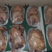 مرغ و خروس