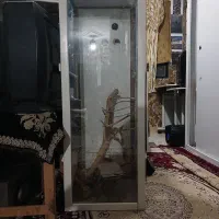 قفس چوبی بزرگ
