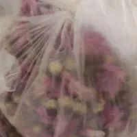 گل ختمی گل محمدی