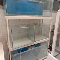 اکواریوم و پایه