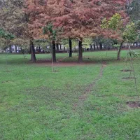 فروش-زمین-باغی-در-ورودی-شهر-رشت-قلعه-سرا