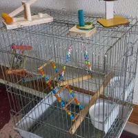 قفس بزرگ