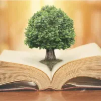 معلم خصوصی حسابان گسسته هندسه ریاضی تجربی ریاضی