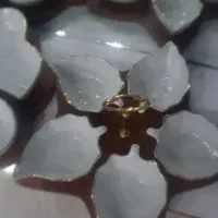 فروش چینی گل سرخ ۵ ستاره