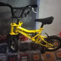 دوچرخه دوازده
