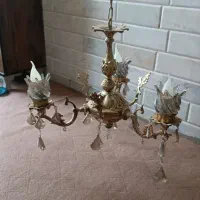 لوسترسه شاخه نوی نو جنس برنج
