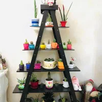 شلف چند طبقه