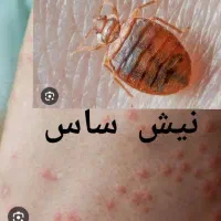 سمپاشی ضمانتی عظیمیه باغستان گوهردشت شاهین ویلا