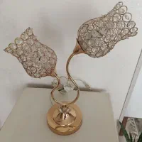 اباژر