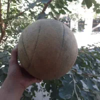 توپ والیبال