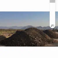 کود حیوانی گاو