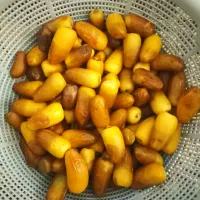 رتب شکری