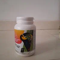 سرلاک پرنده