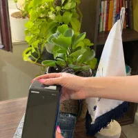 کارتخوان کشلس عابربانک قسطی SK210