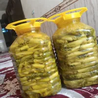 ترشی بیلهر فروشی تازه وخوشمزه