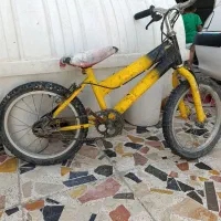 دوعد د دوچرخه ۱۶ و۱۲