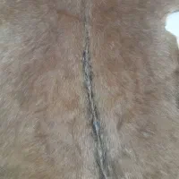 پوست دباغی شده