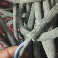 کابل برق