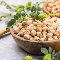 نخود دیم بهاره