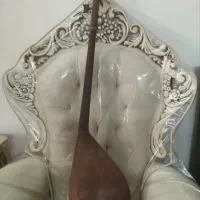 دوتارتربتی