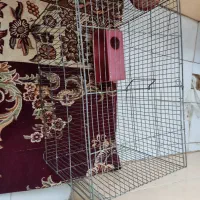 دوعددقفس پرنده یا حیوان خانگی